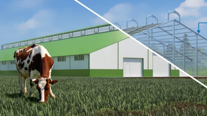 Коровники под ключ